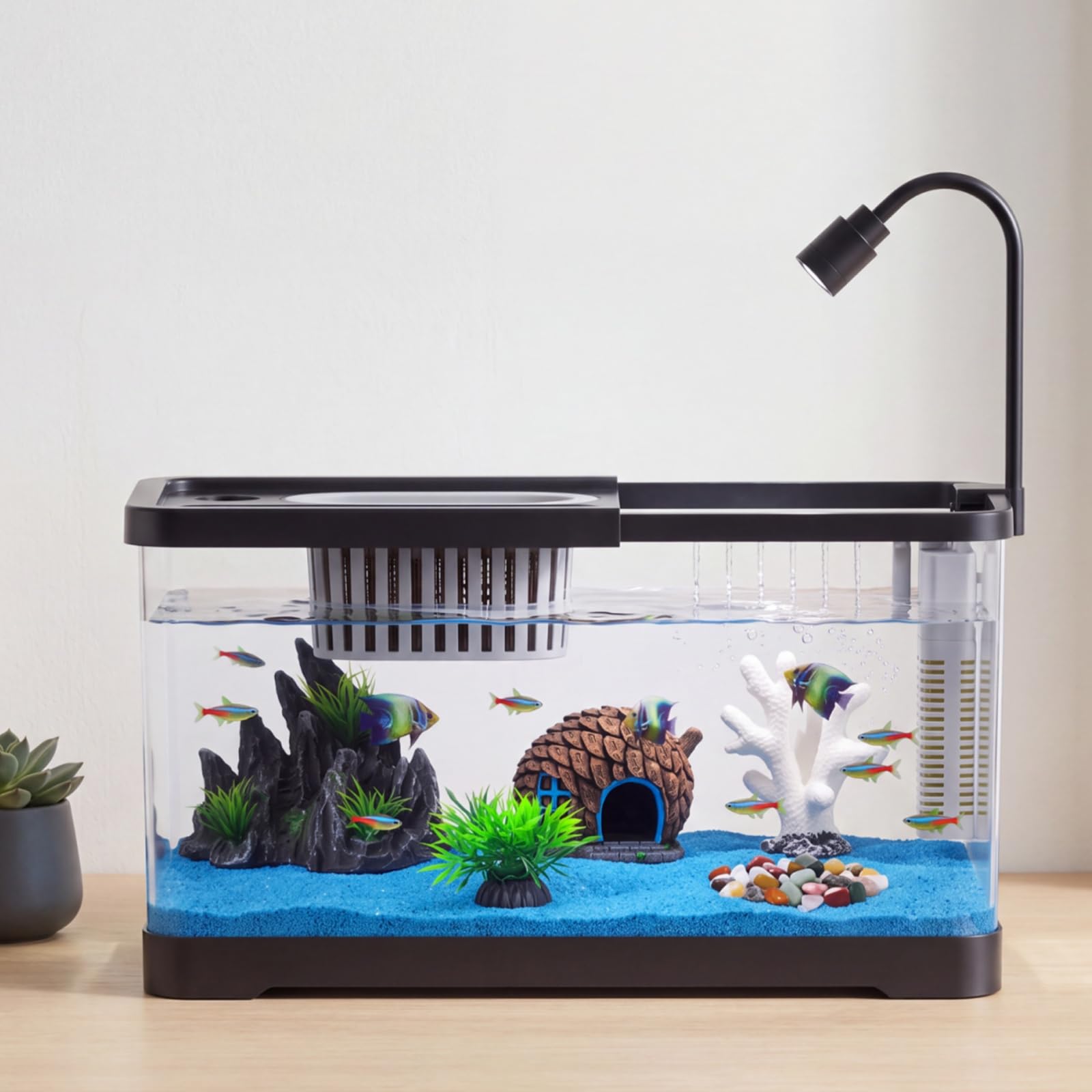 Aquarium Fish Betta - Zestaw startowy do akwarium z filtrem