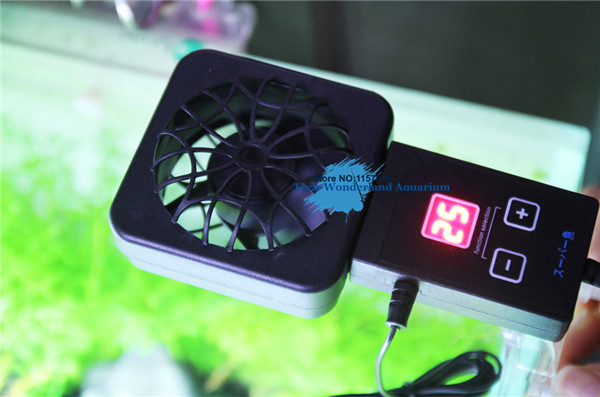 Fish Tank Heater - Mini nano clip powiesić na czujniku