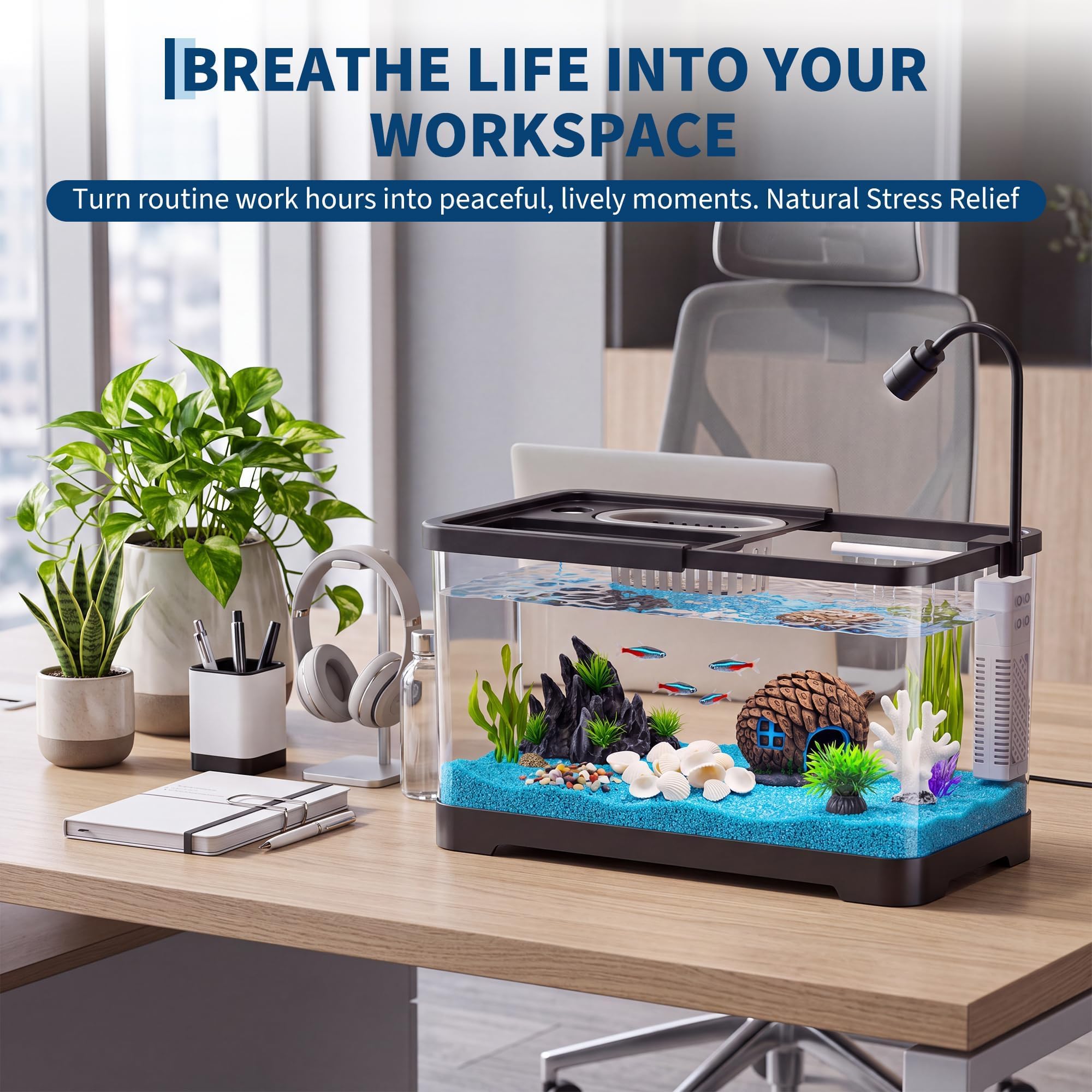 Zestaw startowy do akwarium z  – Aquarium Fish Betta recenzja i cena