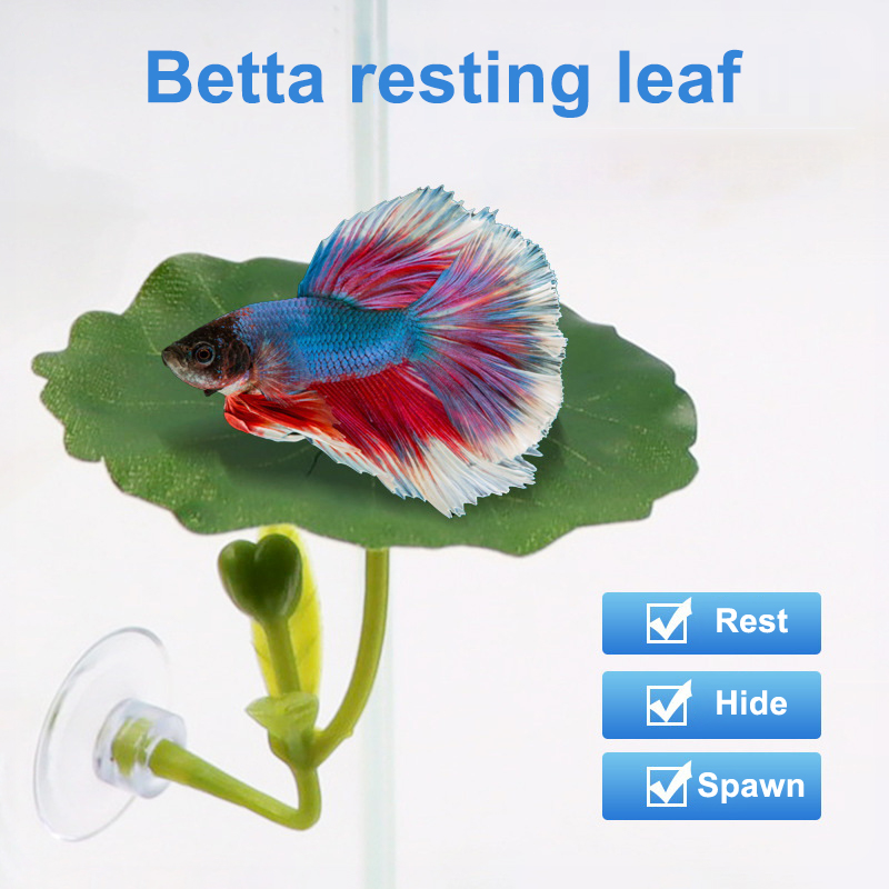 (Ce14)1/5PC Zielona Hamak z Li – Aquarium Fish Betta recenzja i cena