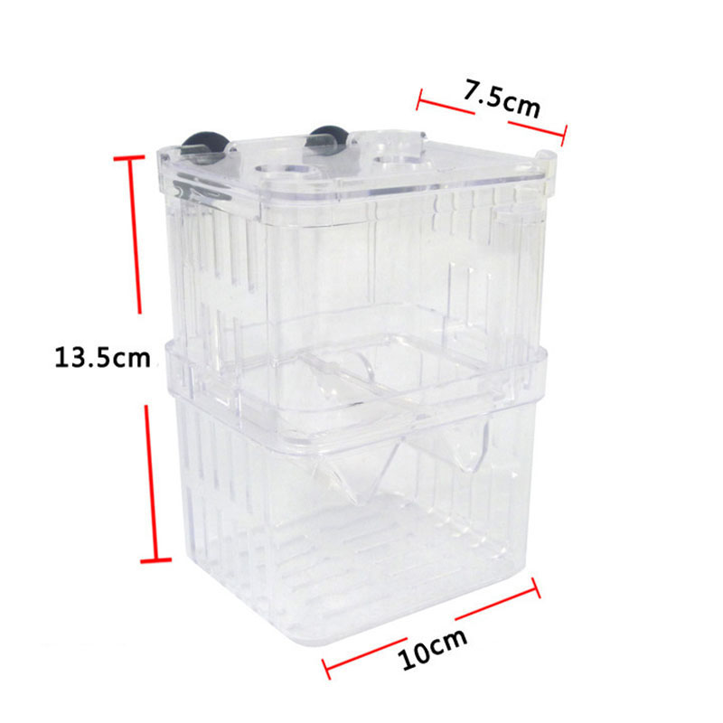 Pudełko izolacyjne do hodowli  – Betta Fish Tank recenzja i cena