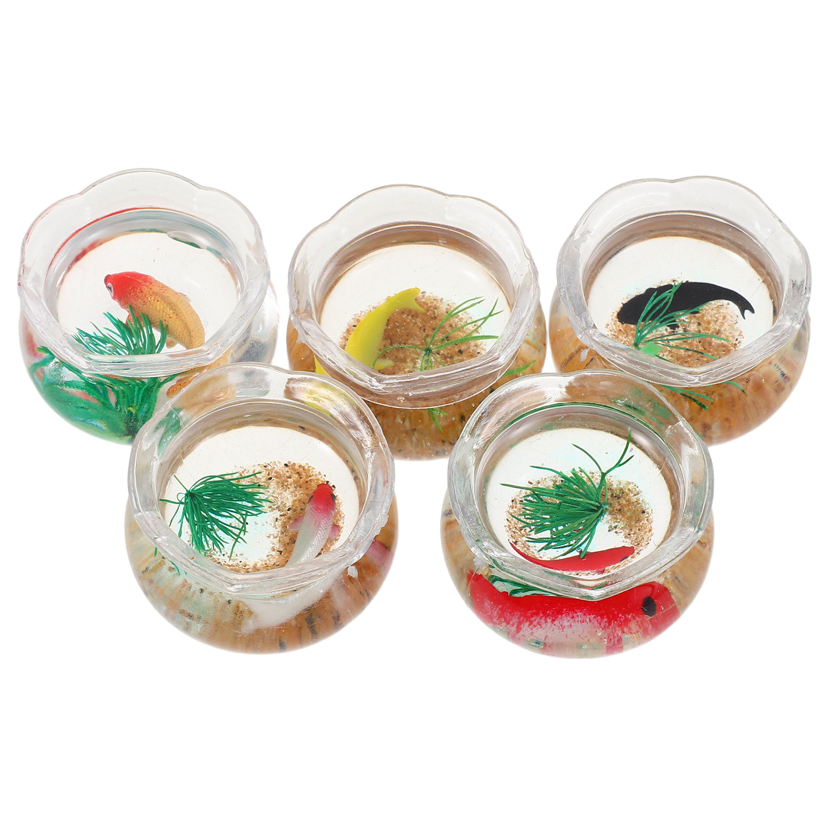 5 sztuk miniaturowych akwariów – Aquarium Plants recenzja i cena